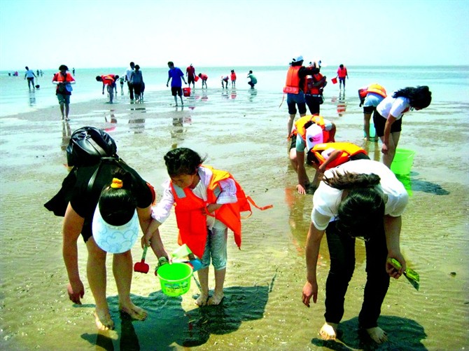 魅力羊口小清河入海口生态湿地海上一日游